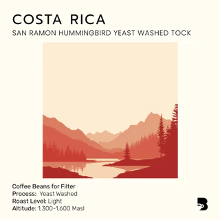 เมล็ดกาแฟ คั่วอ่อน - Costa Rica San Ramon Hummingbird