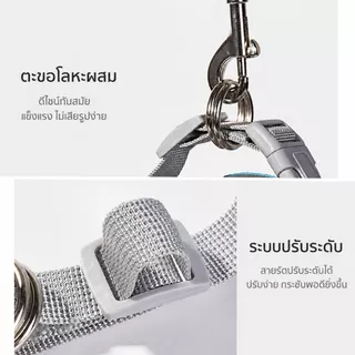 สายจูงแมว สายจูงแมวเด็ก ผ้าตาข่าย ปรับขนาดได้ น้ำหนักเบา มีแถบสะท้อนแสง สำหรับเดินเล่นนอกบ้าน