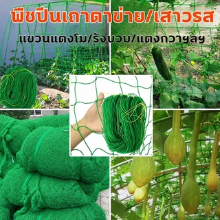 【ของขวัญฟรี】ตาข่ายล้อมไก่ ยาว100/50/20เมตร ตาข่ายกันนก ตาข่าย มุ้งไก่ชน รั้วตาข่าย ตาข่ายถักปม ดางล้อมไก่