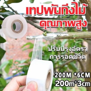 6cmx200m เทปพันกิ่งไม้ อุปกรณ์ทำสวน เทปพันตอนกิ่ง อุปกรณ์การเกษตร เทปพันกิ่งทาบ พลาสติกทาบกิ่ง เทปติดตาต้นไม้ฟิล์มยืด