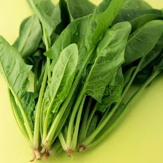 เมล็ดปวยเล้ง ปวยเล้งญี่ปุ่น 250-1600เมล็ด (5-40กรัม) สายพันธุ์ OP