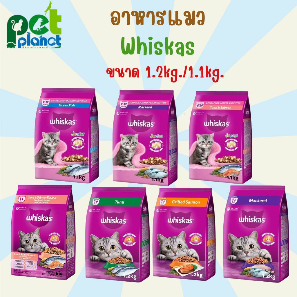 Whiskas วิสกัส อาหารแมวเม็ด อาหารแมวโต / ลูกแมว ขนาด 1.1kg / 1.2kg ครบทุกสูตร มีหลายรสชาติให้เลือก พร้อมส่ง