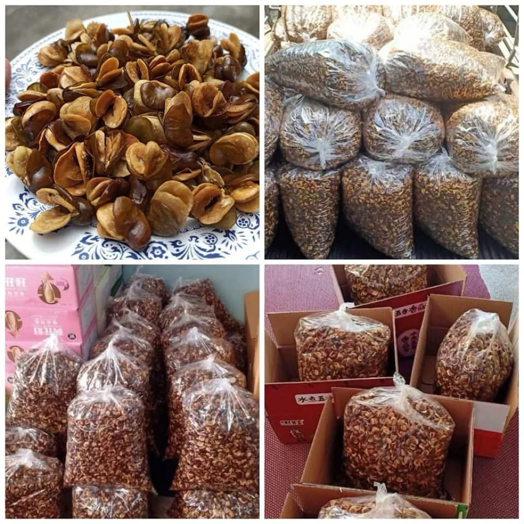สดใหม่ถั่วปากอ้า5กิโลกรัม🥜เกรดดี เต็มเม็ด เปลือกบาง กรอบ มันส์ อบฆ่าเชื้อ
