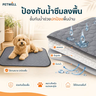แผ่นรองฉี่สำหรับสัตว์เลี้ยง PETWELL สามารถนำกลับมาใช้ใหม่ ซักได้ กันลื่น ระบายอากาศได้ดี และเหมาะสำหรับการฝึกฉี่ลูกสุนัข