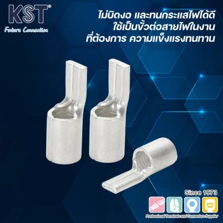 KST หัวเสียบก้านไม้ขีดกลมเปลือย 0.5mm²-6mm² รุ่น PTNB1-PTNB5