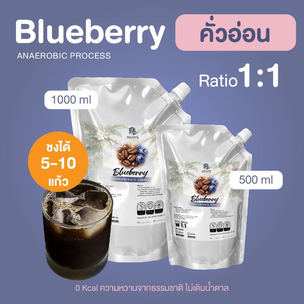 Concentrate Cold Brew คั่วอ่อน (Blueberry) ชงได้ 5-10 แก้ว กาแฟสูตรเข้มข้น อาราบิก้า 100%