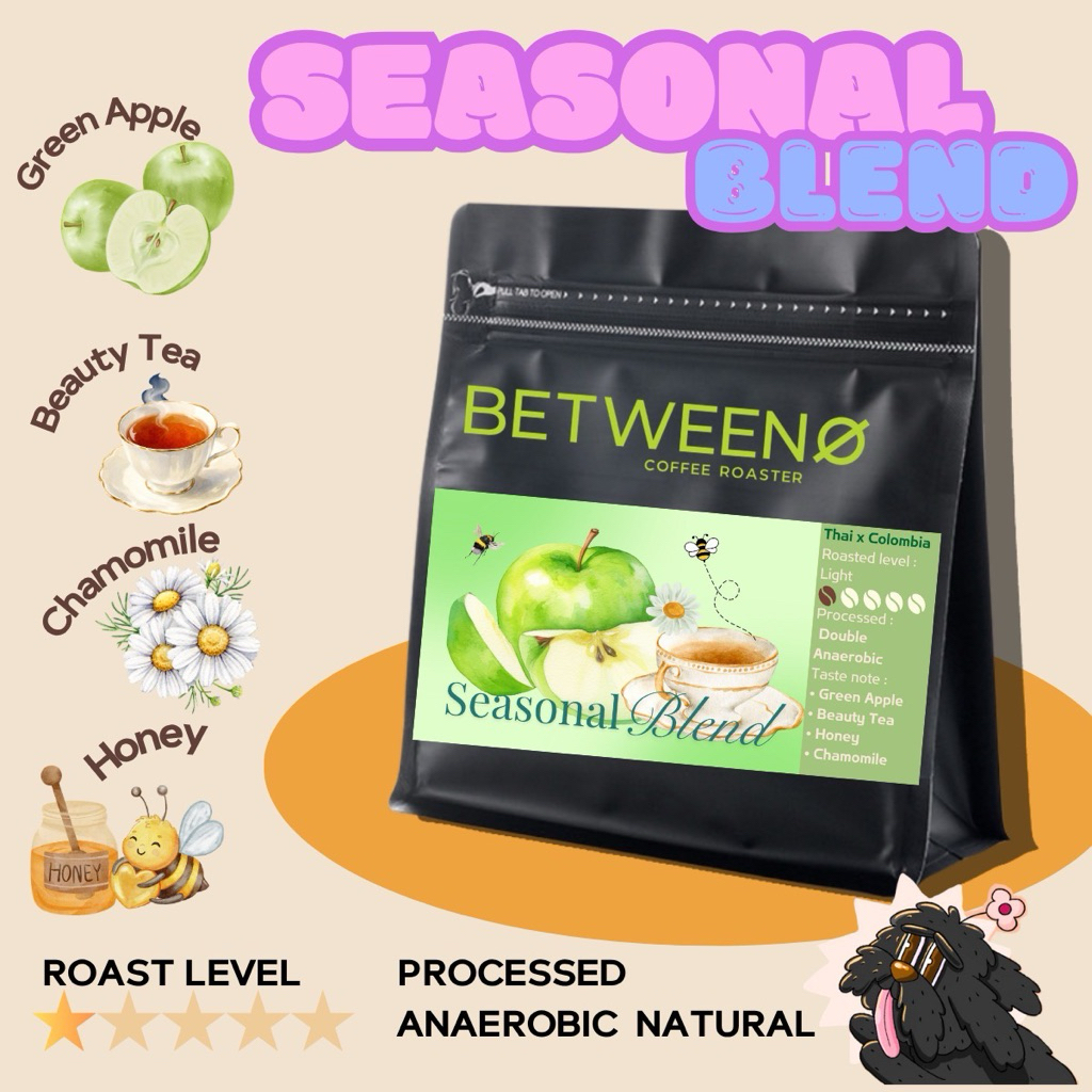 เมล็ดกาแฟ คั่วอ่อน Between Seasonal Blend กลิ่นแอปเปิ้ลเขียว