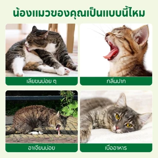 PET RECORD ฟรีซดรายหญ้าแมว 50กรัม ขนมแมวขับก้อนขน สูตรไก่ไข่แดง ช่วยระบายขน บำรุงลำไส้ แมวกินง่าย ไม่ต้องปลูกหญ้าแมว