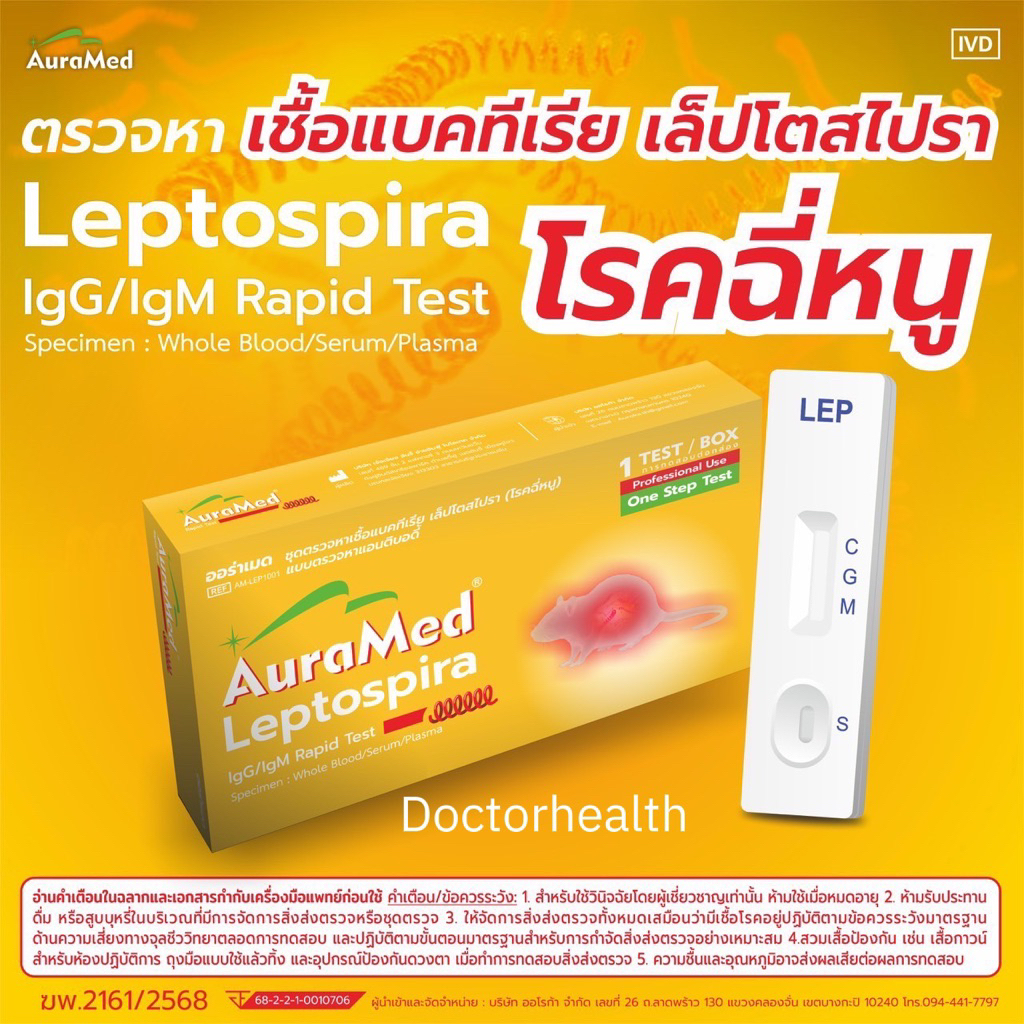 Doctorhealth ออราเมด ชุดตรวจหาเชื้อแบคทีเรีย เล็ปโตสไปรา Leptospira โรคฉี่หนูIgG/IgM Rapid Test