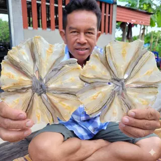 ปลาแห้ง ปลาวง เขื่อนลำปาว จ.กาฬสินธุ์ (1แพ็คมีปลา7วง) ไม่หวาน รสชาติเค็มนัว