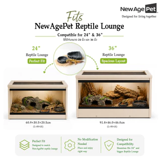 NEW AGE PET ชามอาหารสัตว์เลื้อยคลาน ลายหินธรรมชาติ Resin ไม่ลื่น ไม่ขึ้นรา ทำความสะอาดง่าย