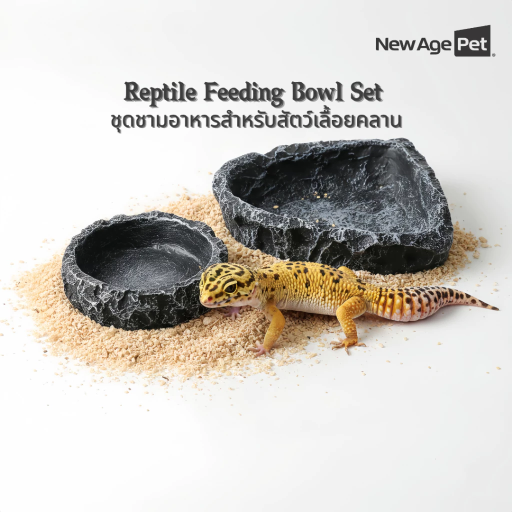 NEW AGE PET ชามอาหารสัตว์เลื้อยคลาน ลายหินธรรมชาติ Resin ไม่ลื่น ไม่ขึ้นรา ทำความสะอาดง่าย