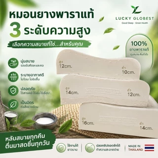 Lucky Globestหมอนยางพาราแท้ [[รุ่นเสริมความสูง]]✅️ปลอก2ชั้นติดซิป