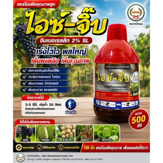 ไอซ์จิ๊บ ขนาด 500 ซีซี gibberellic acid2% ยืดต้น ยืดดอก ยืดถั่วฝักยาว แตงกวา กรดจิบเบอเรลลิก 2% ตราหวีทอง
