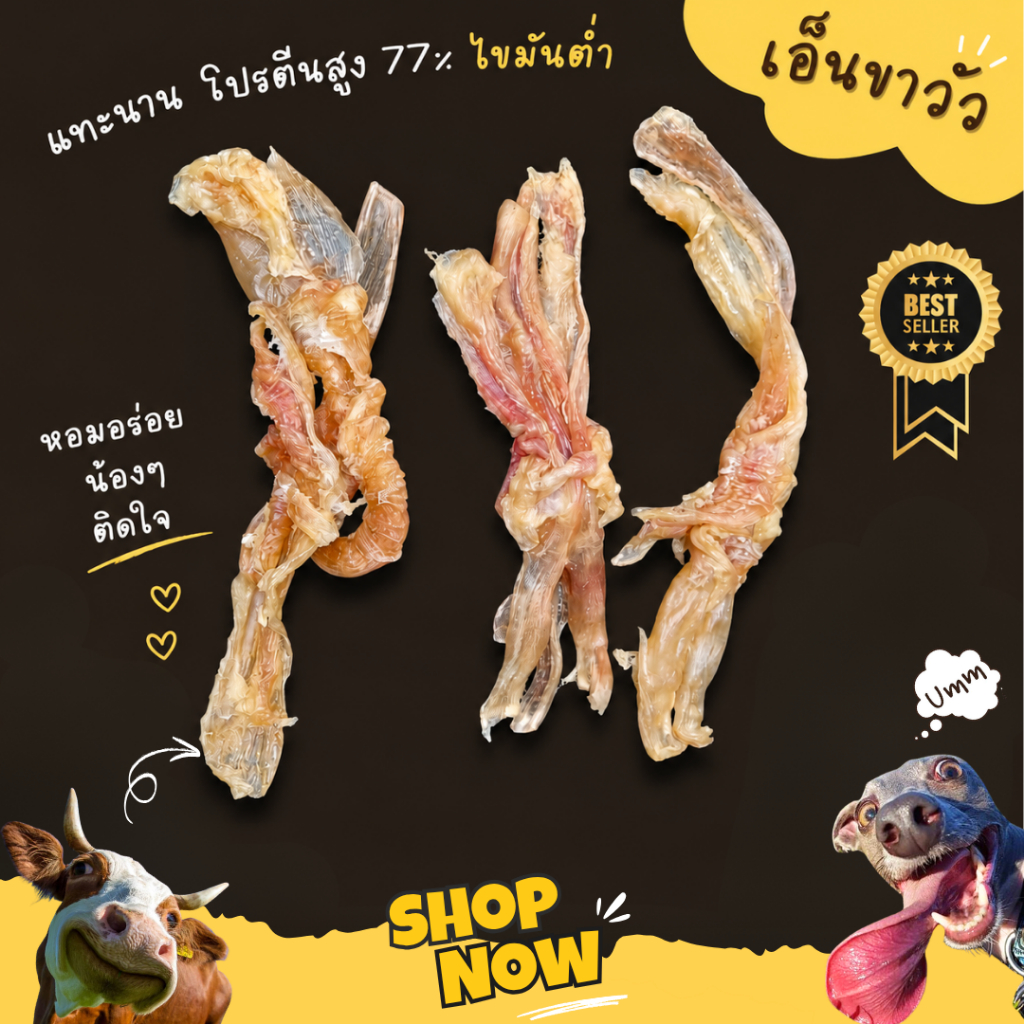 Beef Tendon เอ็นขาวัว อบแห้ง ขัดฟันน้องหมา ขายดีที่สุด  ขนมสุนัข umm ขนมหมา