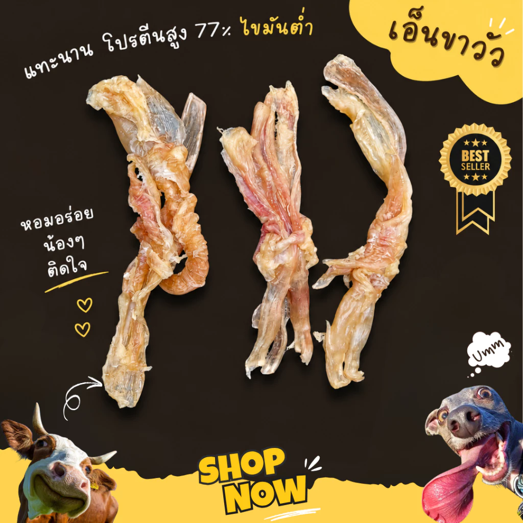 Beef Tendon เอ็นขาวัว อบแห้ง ขัดฟันน้องหมา ขายดีที่สุด ขนมสุนัข umm ขนมหมา