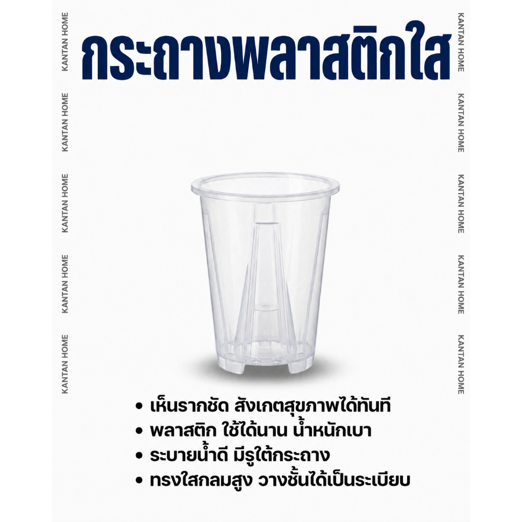 กระถางต้นไม้พลาสติก ทนทานใช้ได้นาน  กล้วยไม้ ++ทรงใสสูง++ กระถางมินิมอล ต้นไม้มงคล