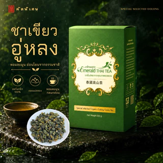 ชาเขียวอู่หลง ออร์แกนิก คัดพิเศษ 有机精选绿茶 Special Selected Organic Green Tea ดอยแม่สลอง 200g | Emerald Thai Tea Since 1984