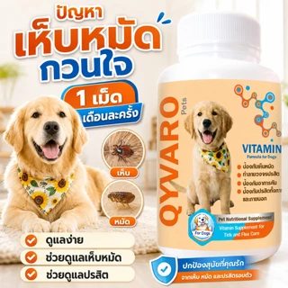 หมดปัญหาเห็บหมัด Qyvaro ป้องกันเห็บหมัด ลดคัน ขนร่วง กินง่าย เดือนละครั้ง