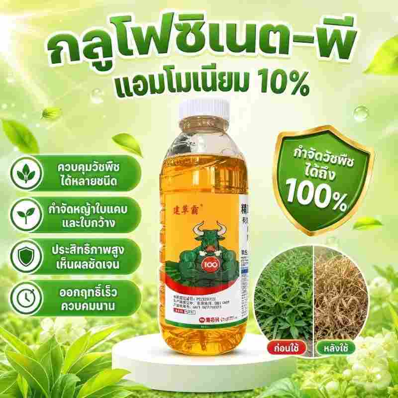 ขวดใหญ่ 100 กรัม ของเกลืออะมโมเนียมฟอสโฟเนตเข้มข้นสูง สำหรับสวนผลไม้และที่ดินรกร้าง ใช้กำจัดวัชพืชกระจัง