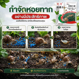 🔥รุ่นยอดฮิต กำจัดหอย 500g สลายตัวเร็วจึงทำให้ไม่มีสารพิษตกค้างในพืชและสภาพแวดล้อม ยาฆ่าหอย เหยื่อกำจัดหอย ยาฆ่าหอยทาก