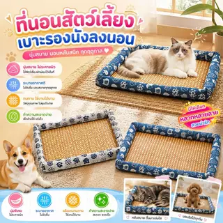 Boqi Factory ที่นอนสัตว์เลี้ยง เสื่อหวายระบายอากาศ เบาะรองนั่งนองนอน สุนัขและแมว Haki