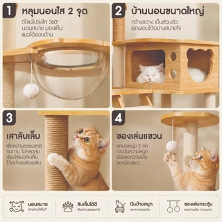 คอนโดแมวไม้ มินิมอล รุ่นN5 สูง131-145cm บ้านแมว เสาลับเล็บ หลุมอวกาศใส 2 หลุม ที่นอน บันได พร้อมของเล่น