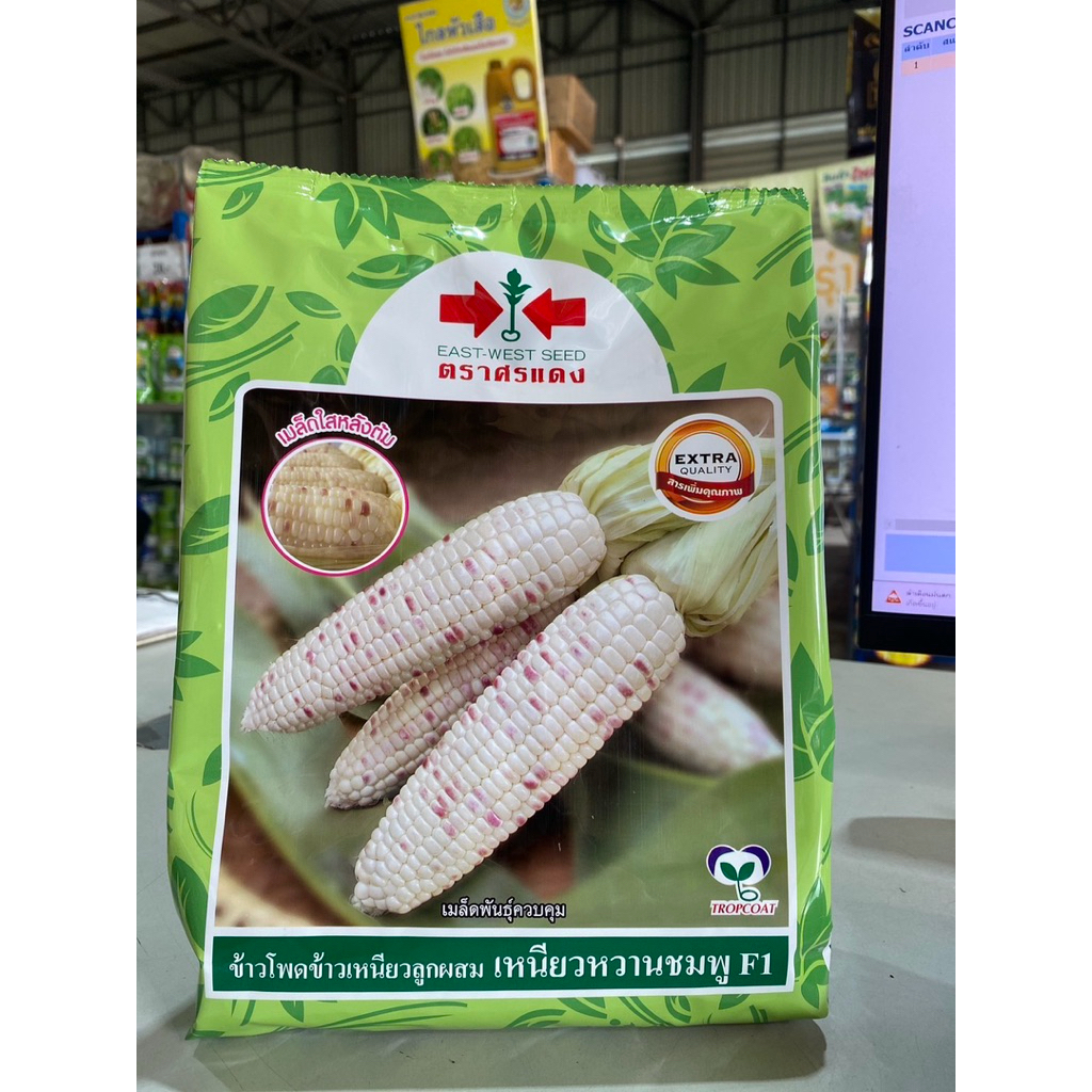 เมล็ดข้าวโพด เหนียวหวานชมพู ศรแดงขนาด 5,000เมล็ด