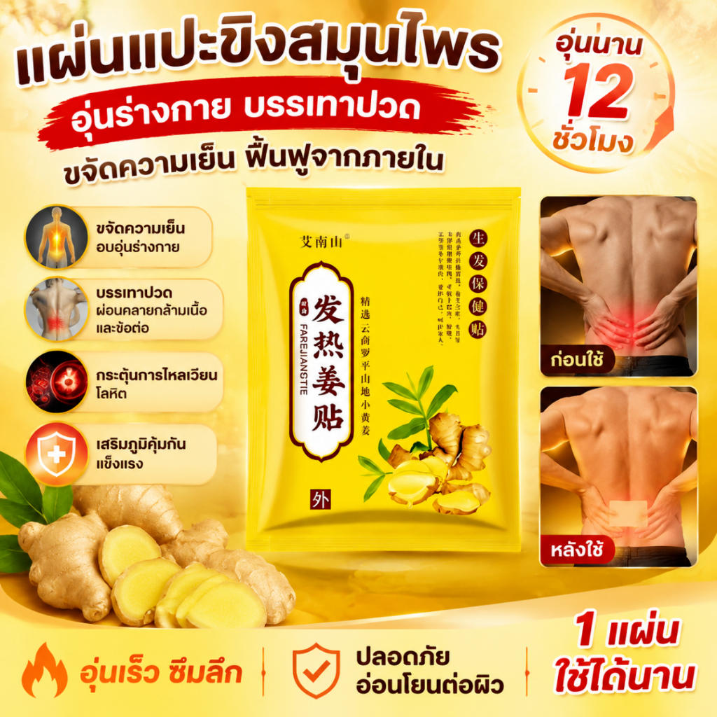 แผ่นแปะบรรเทาอาการปวดขิง.แผ่นแปะบรรเทาอาการปวดหลังส่วนล่าง.แผ่นแปะบรรเทาอาการปวดตามร่างกาย.แผ่นแปะบรรเทาอาการปวด