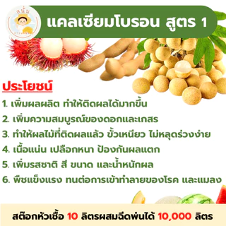 แคลเซียมโบรอน สูตร 1 (ชุดประหยัด) ทำสต๊อกหัวเชื้อ 10 ลิตร ผสมฉีดพ่นได้ 10,000 ลิตร เพิ่มผลผลิต ใบหนา ขั้วเหนียว รสชาติดี