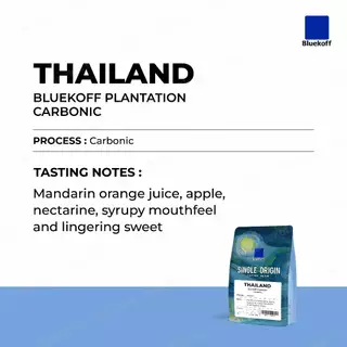 Bluekoff Plantation: Carbonic เมล็ดกาแฟ ไทย อราบิก้า 100% Arabica 100% (1 ถุง บรรจุ 250 กรัม)