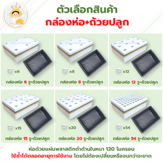 (ส่งด่วน) กล่องโฟมปลูกผักไฮโดรโปนิกส์ ลังโฟมปลูกผัก ขนาด 24 ลิตร พร้อมถ้วยปลูกและถุงรองกล่องโฟม