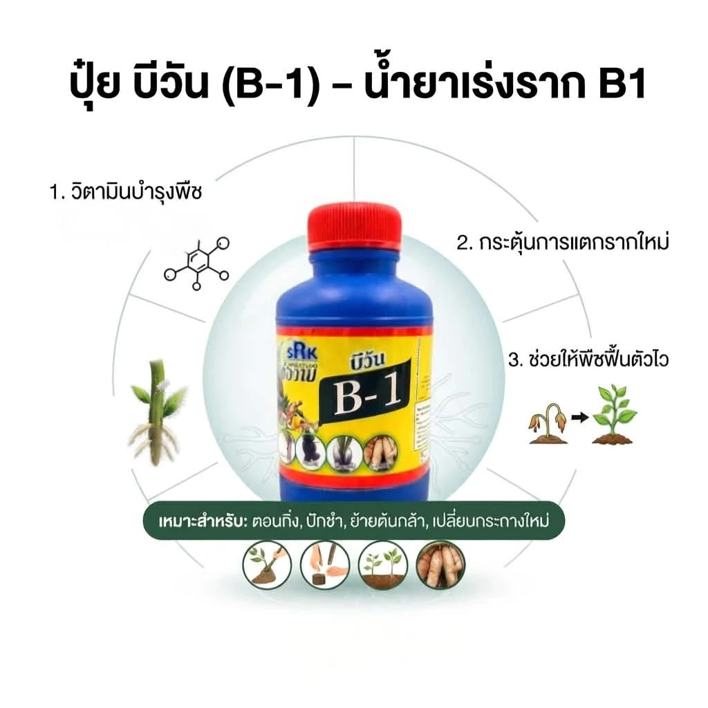 B1 น้ำยาเร่งราก สูตรเข้มข้น 100 cc