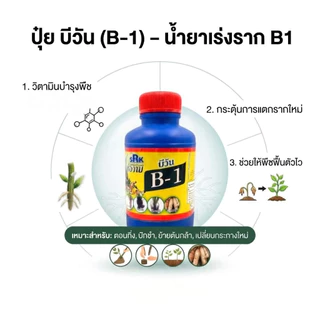 B1 น้ำยาเร่งราก สูตรเข้มข้น 100 cc