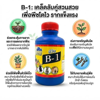 B1 น้ำยาเร่งราก สูตรเข้มข้น 100 cc