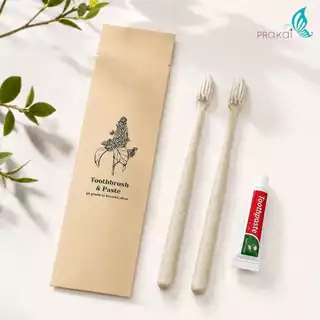 PRAKAIVANICH แปรงสีฟันx2ด้าม ยาสีฟัน 5g【ลังละ 50 เซ็ท】 ของใช้ในโรงแรม Toothbrush/Dental Kit
