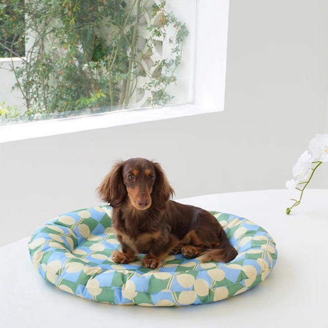 [พร้อมส่ง]Zeze cooling bed ที่นอนเจลเย็นสำหรับสัตว์เลี้ยง
