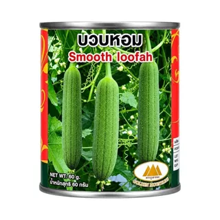 เมล็ดบวบหอม Smooth Loofah ตราภูเขาทอง เมล็ดพันธุ์บวบหอม เมล็ดพันธุ์ผัก เมล็ดพันธุ์ผักสวนครัว บวบหอม