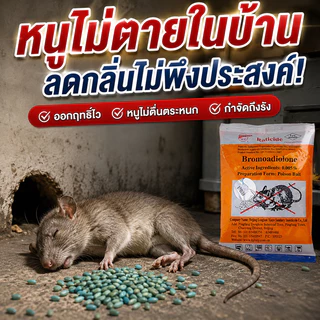 นำเข้าจากอเมริกา ยากำจัดหนู 3ซอง กำจัดหนูในบ้าน ร้านค้า โกดัง ใช้งานง่าย ออกฤทธิ์เร็ว เหมาะสำหรับกำจัดหนูโดยเฉพาะ