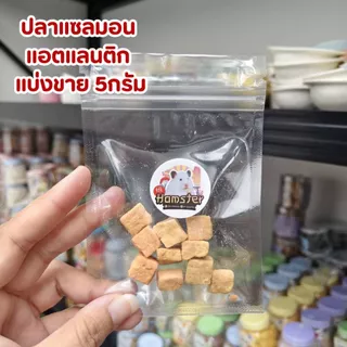 [HiHamster]ปลาแห้ง อาหารเสริมเพิ่มแคลเซียม สำหรับสัตว์เลี้ยงฟันแทะ ขนาด 15 g.