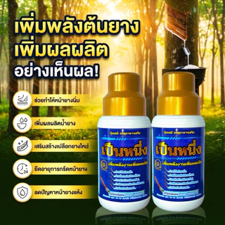 ส่งฟรี✅เป็นหนึ่ง(ฝาทอง)ปุ๋ยน้ำทาหน้ายางพรีเมียม ยืดอายุต้นยางน้ำยางออกดี หน้าไม่ยุบ สำหรับต้นยาง 15 ปี ขึ้นไป