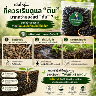 ไบโอชาร์ปรับโครงสร้างดิน พร้อมใช้ ชาร์จจุลินทรีย์จาวปลวก + จุลินทรีย์สังเคราะห์แสง (PSB) ช่วยให้ดินโปร่ง อุ้มน้ำ