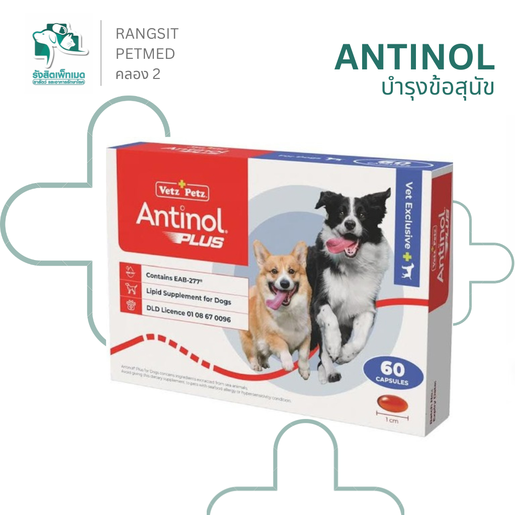 [แบ่งขาย 15 เม็ด] Antinol Dog แอนทินอล อาหารเสริมสุนัข บำรุงข้อ บำรุงข้อต่อ สกัดจากธรรมชาติ