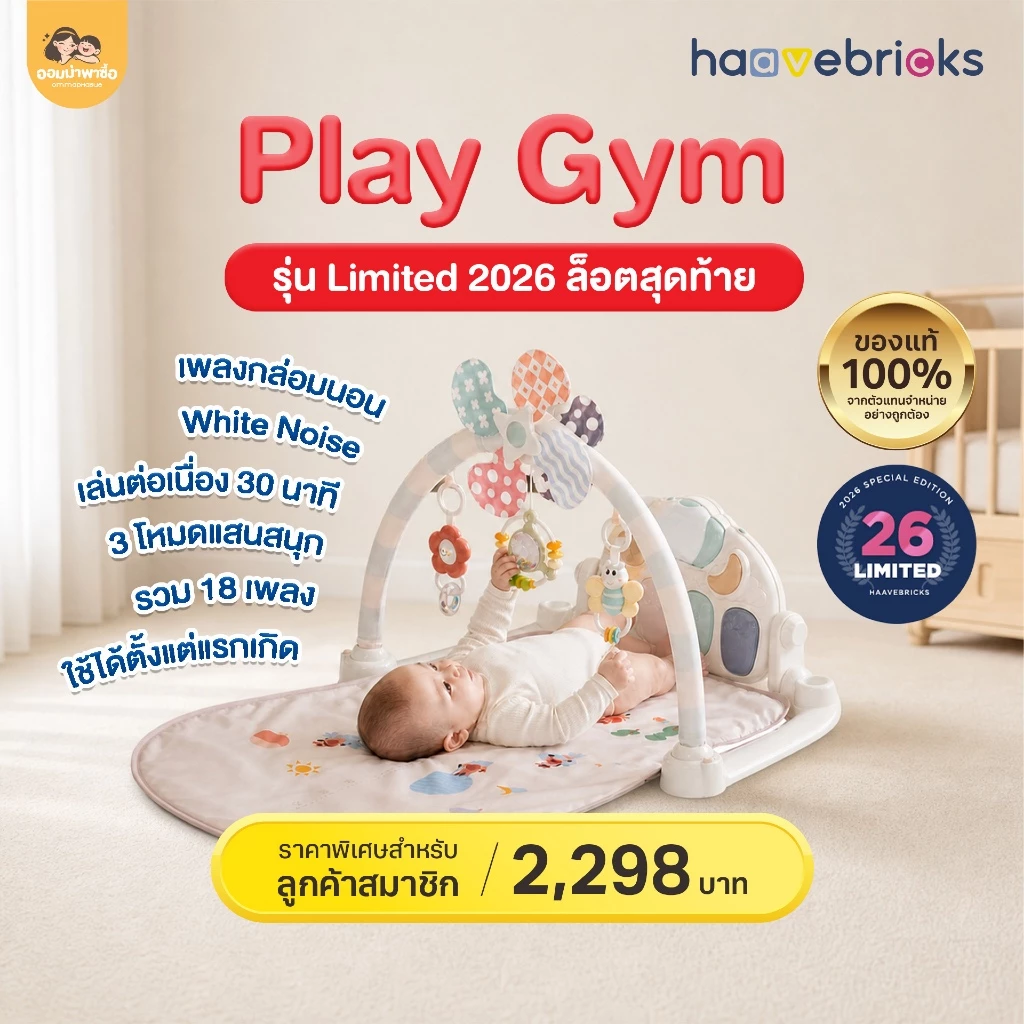 HaaveBricks เพลยิม เบาะนอนเสริมพัฒนาการเด็กเล็ก Play Gym