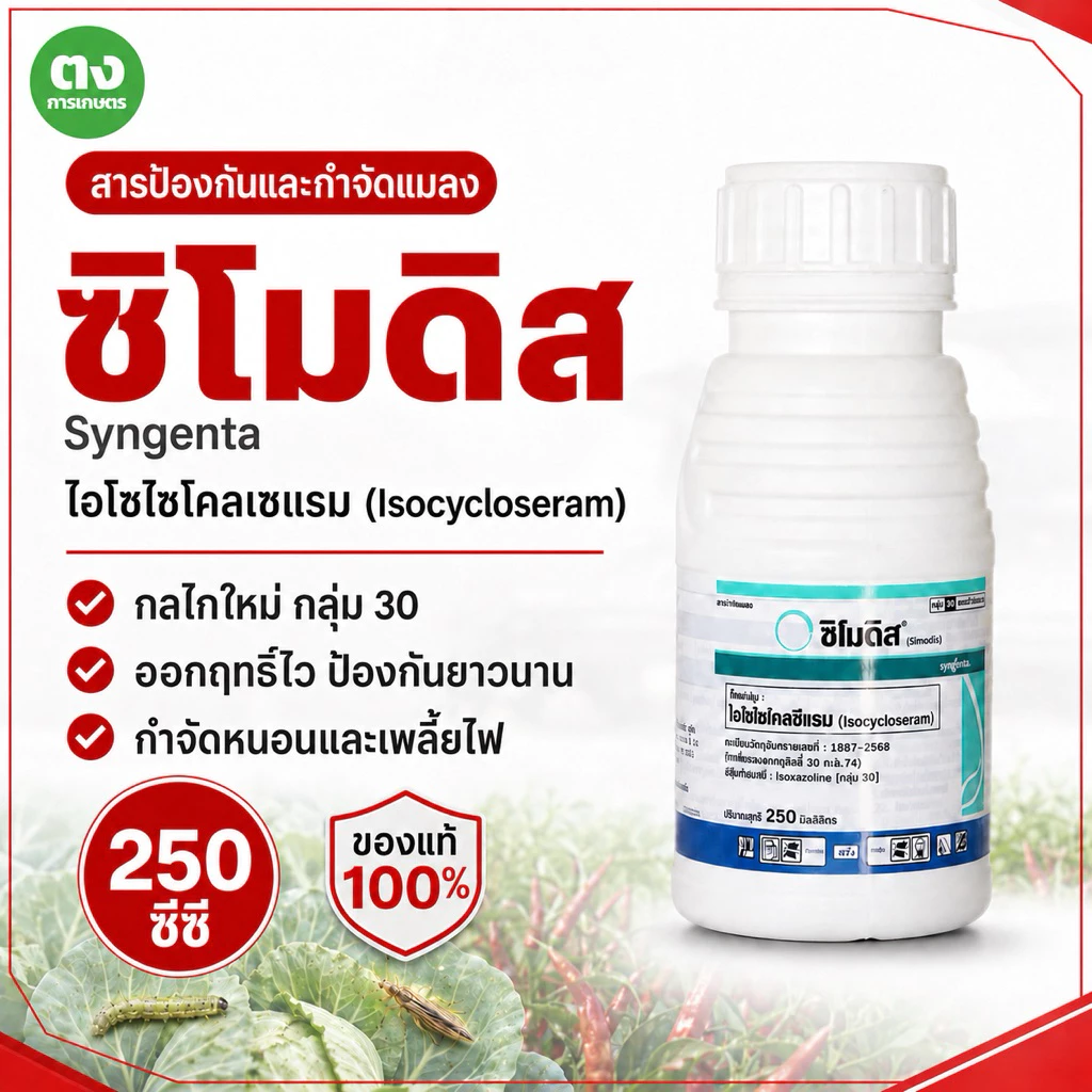 ซิโมดิส ซินเจนทา Syngenta ไอโซไซโคลซีแรม 10% DC 250 ซีซี ของแท้ 100% สารกำจัดแมลง หนอน เพลี้ยไฟ หยุดแมลงดื้อยา คุมนาน