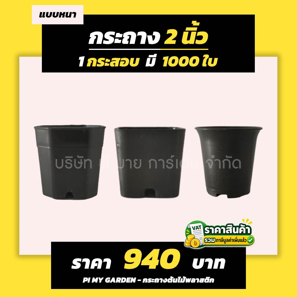 กระถางแคคตัส ทรงสี่เหลี่ยม/ปากแตร/แปดเหลี่ยม 2 นิ้ว สีดำ แพ็ค 1000 ใบ