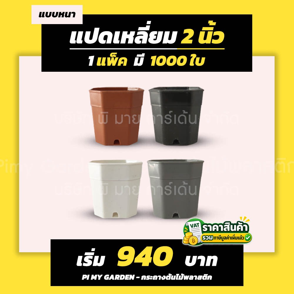 กระถางแคคตัส ทรงแปดเหลี่ยม 2 นิ้ว สีขาว สีดำ สีอิฐ สีเทา แพ็ค 1000 ใบ