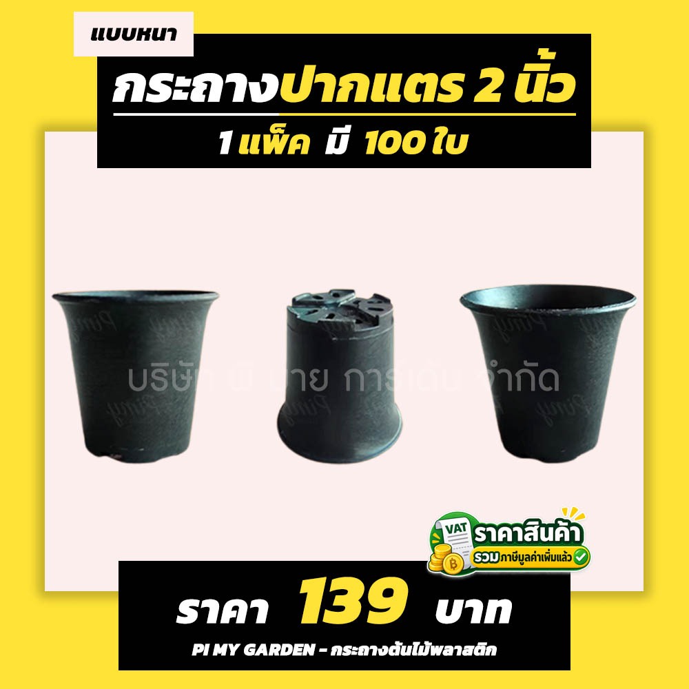 กระถางแคคตัส ทรงปากแตร 2 นิ้ว สีดำ แพ็ค 100 ใบ