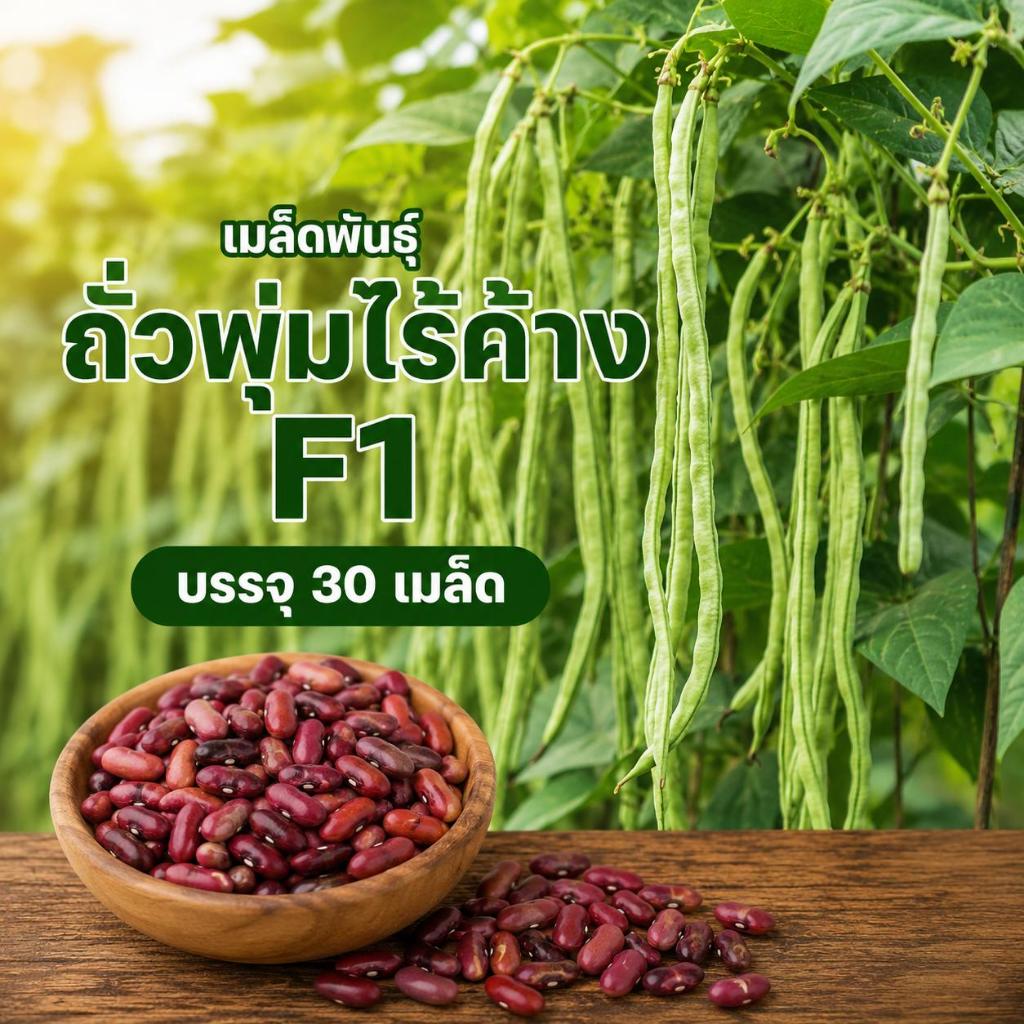 เมล็ดพันธุ์ถั่วพุ่มไร้ค้างF1 บรรจุ 30 เมล็ด