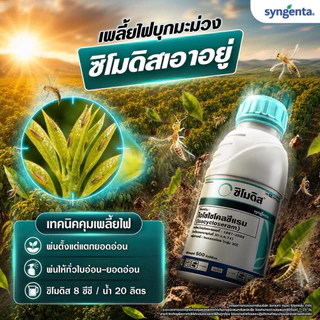 ซิโมดิส ซินเจสทา ขนาด 250ซีซี สารกำจัดแมลงกลุ่มใหม่ ครอบคลุมทุกแมลงในขวดเดียว
